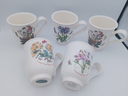 Portmeirion botanical - ,
