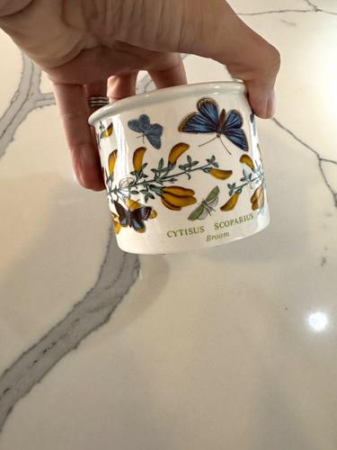 Portmeirion pottery botanical - pottery,