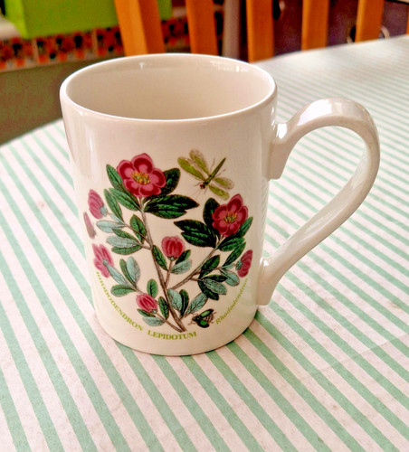 Portmeirion botanic garden mug - portmeirion,