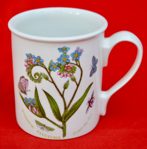 Portmeirion botanic garden - portmeirion,