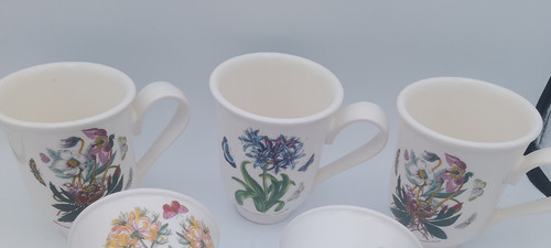 Portmeirion botanical - x,
