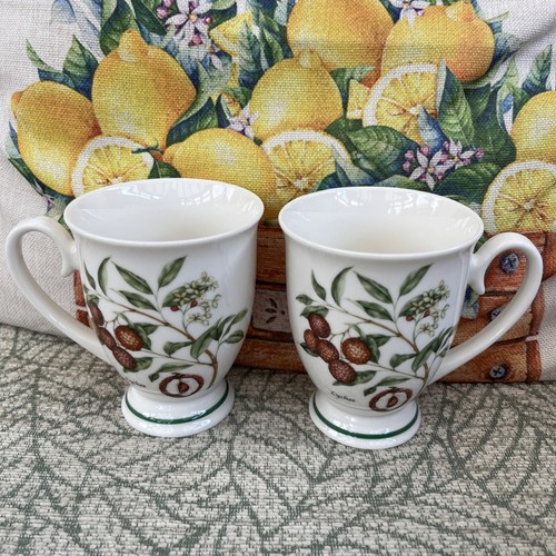 Two portmeirion studio - portmeirion, exotic