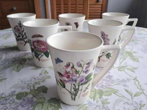Portmeirion botanical - x,