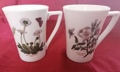 Portmeirion botanic garden - 2x,